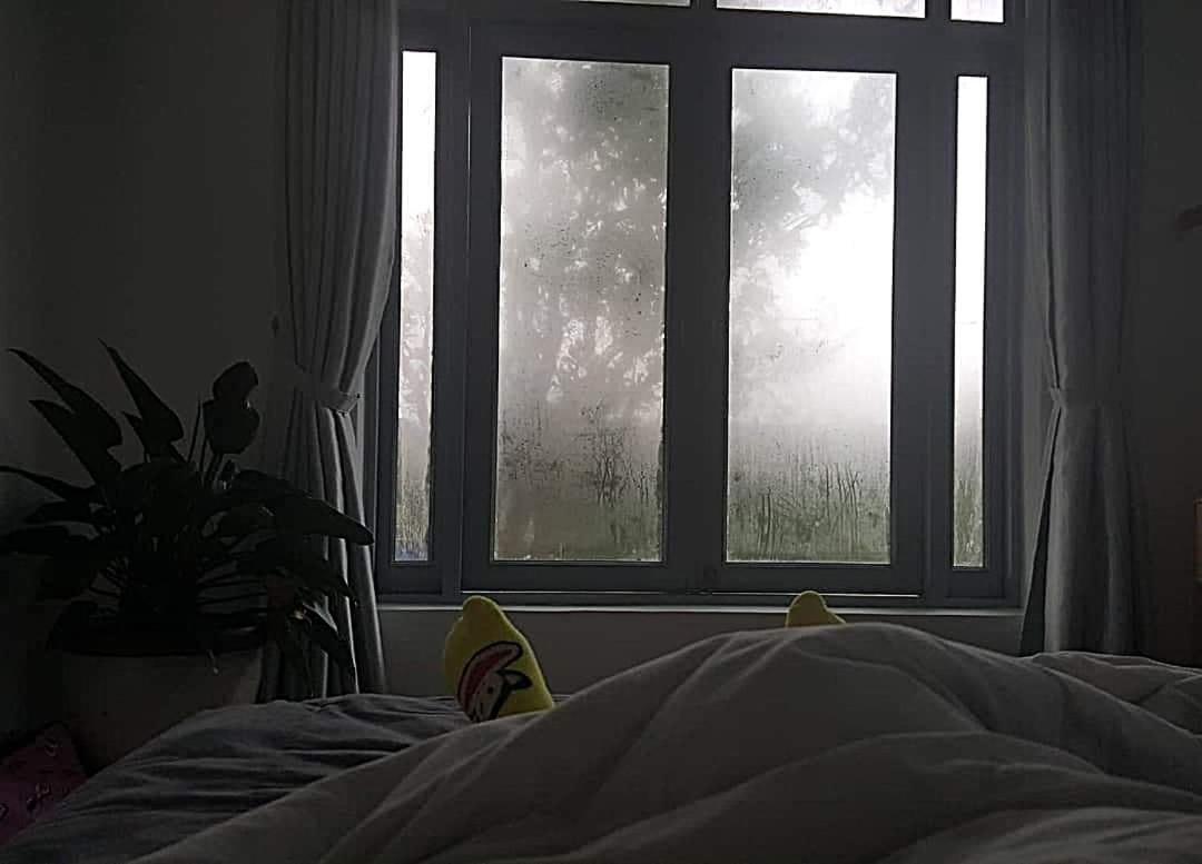 Tia Du Villa Homestay Da Lat Kültér fotó